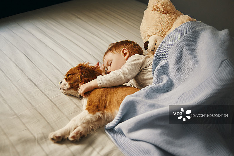 慵懒的居家早晨图片素材