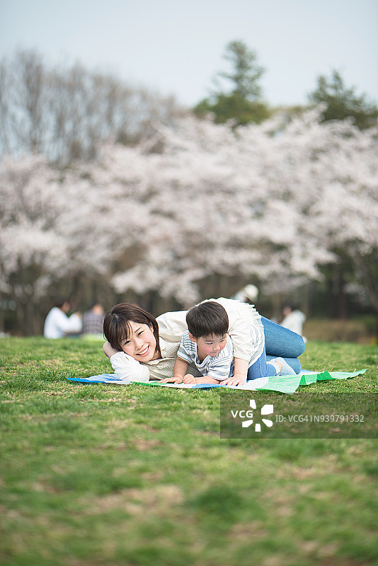 怀孕的母亲和孩子与樱花树图片素材