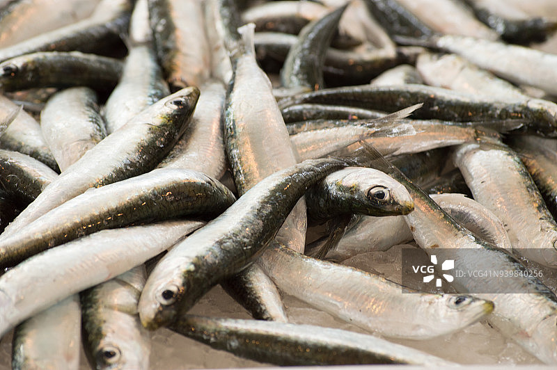 市场上新鲜鱼类促销图片素材