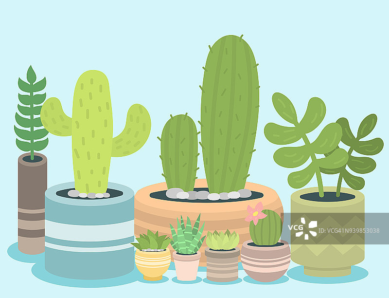 仙人掌绿色植物盆栽矢量图图片素材