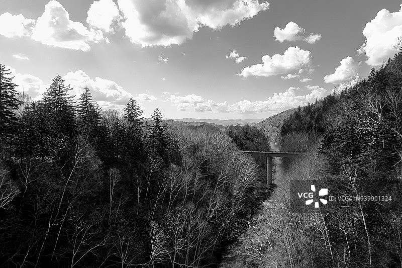 绿色河流图片素材