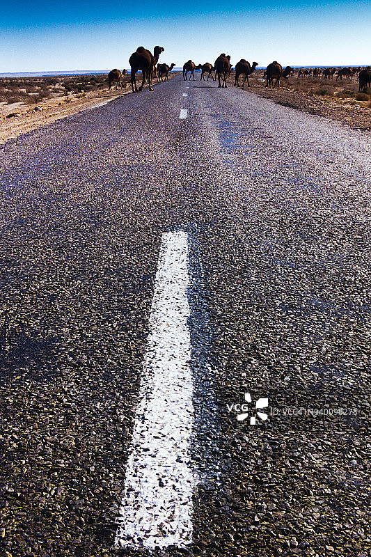 突尼斯杰里德盐湖的沙漠公路图片素材