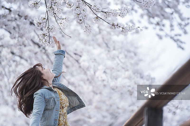 跳跃着去抓樱花的女人图片素材
