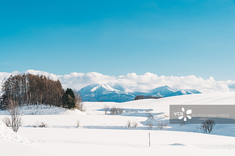 日本北海道美瑛的冬天图片素材