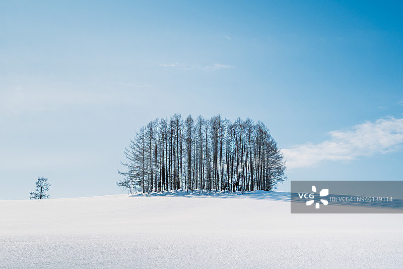 日本北海道美瑛的冬天图片素材