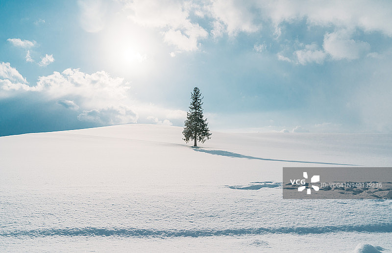 日本北海道美瑛的冬天图片素材