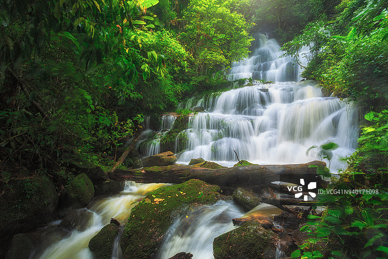 原始森林中的壮观瀑布图片素材