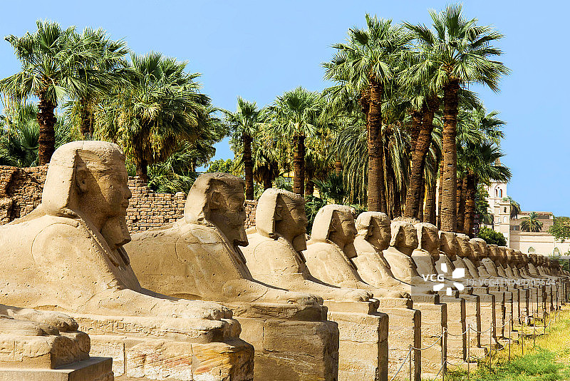卢克索公羊大道，埃及图片素材