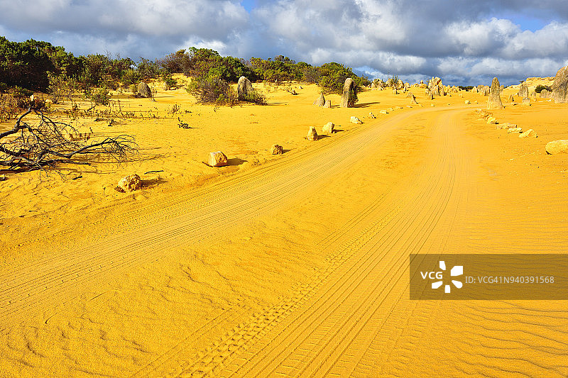 尖峰石阵沙漠的道路和汽车轮胎痕迹，西澳大利亚图片素材