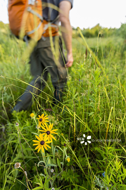 徒步旅行者穿越美国新罕布什尔州梅雷迪思的草地图片素材