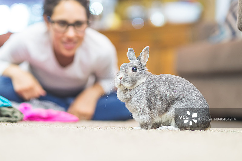与宠物一起生活的乐趣图片素材