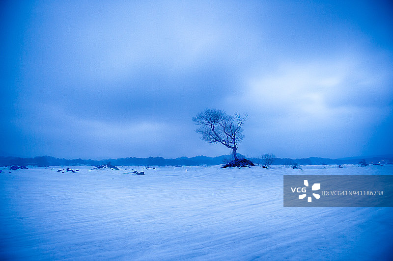 裏磐梯早春景色图片素材