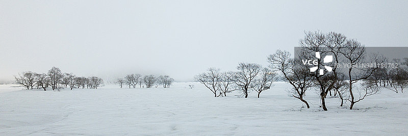 裏磐梯早春景色图片素材