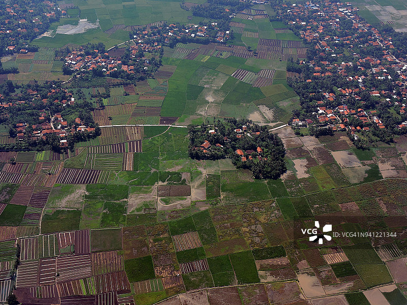 板田稻田图片素材