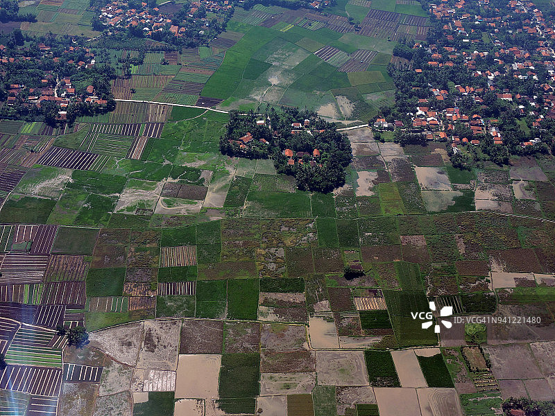 板田稻田图片素材