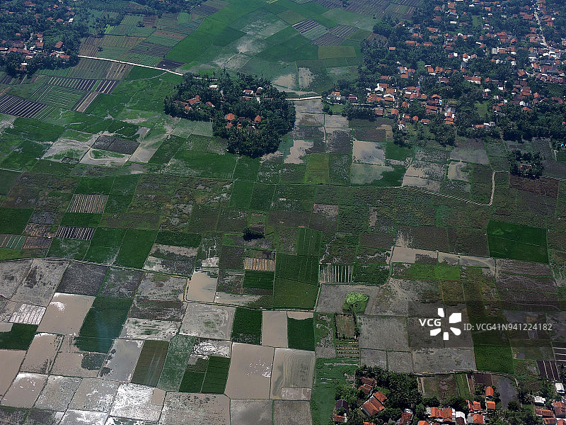 板田稻田图片素材