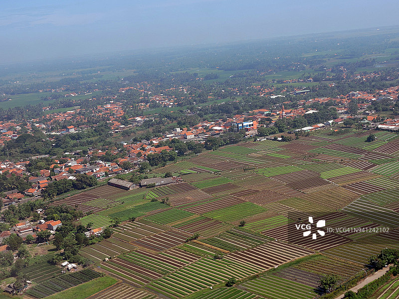 爪哇农场图片素材