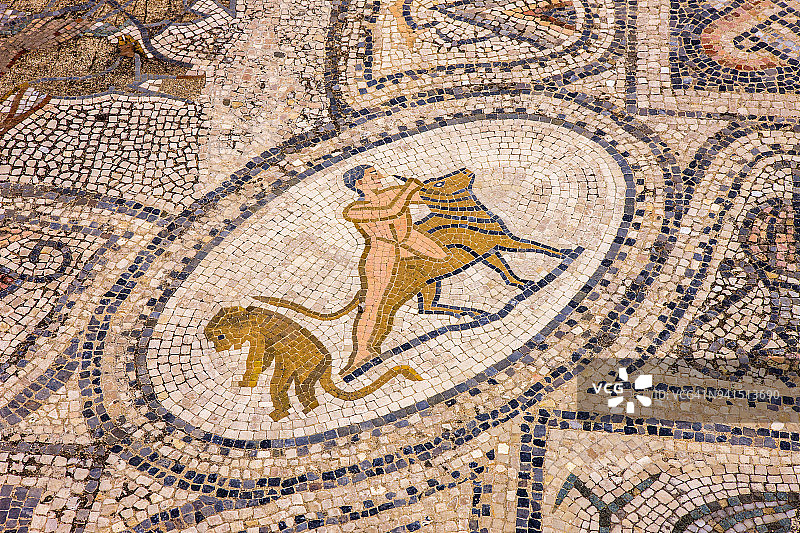 赫拉克勒斯苦工马赛克，其中一项苦工图片素材