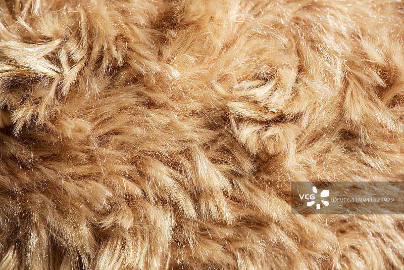 绵羊皮图片素材