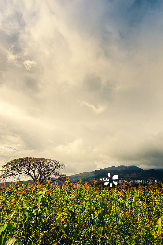 哥斯达黎加特诺里奥火山自然风光图片素材