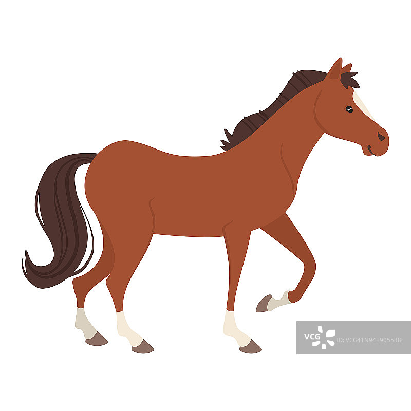 农场动物：马图片素材