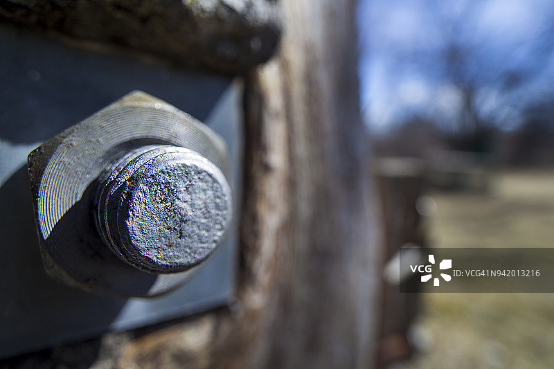 树上的螺栓图片素材