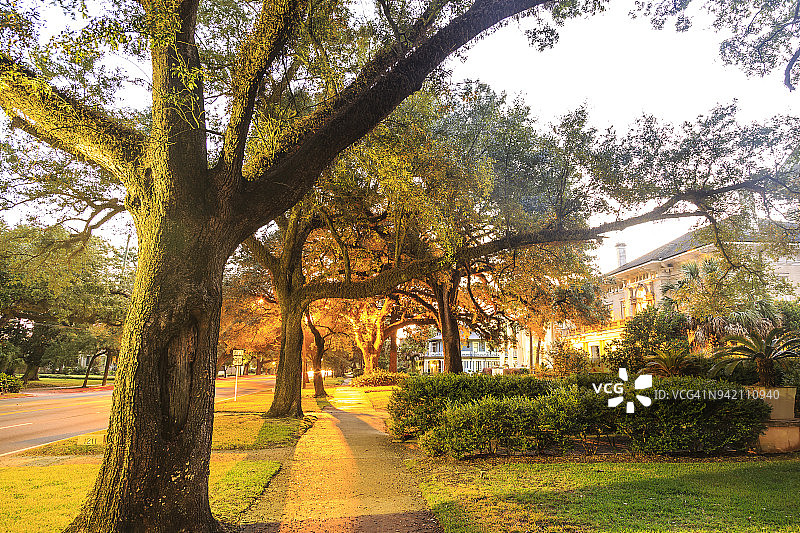 美国阿拉巴马州莫比尔历史街区的林荫街道图片素材