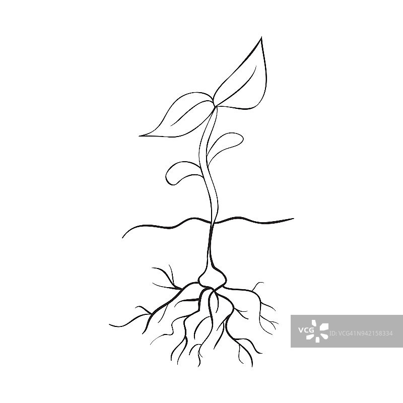 故事板图片素材
