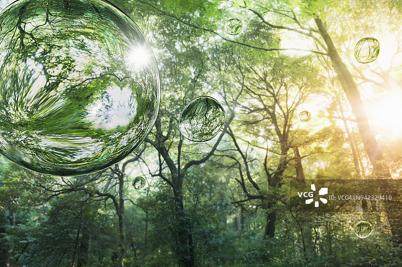 森林中的水滴图片素材