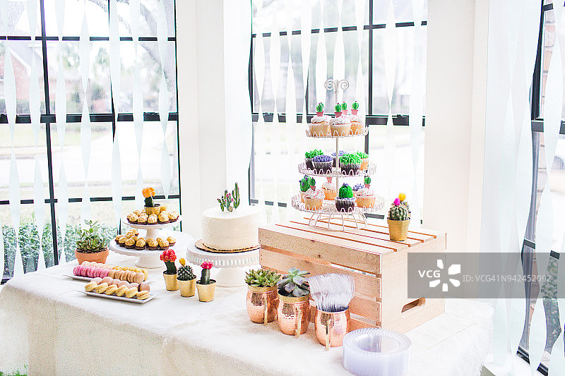 仙人掌和多肉植物迎婴派对桌图片素材