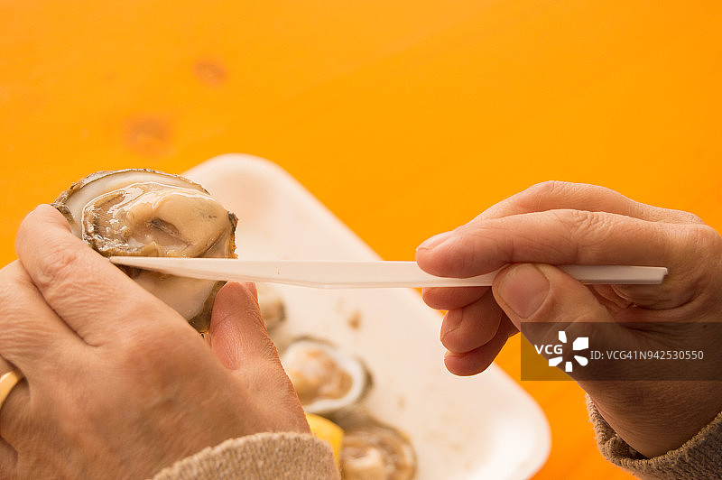 食用牡蛎图片素材