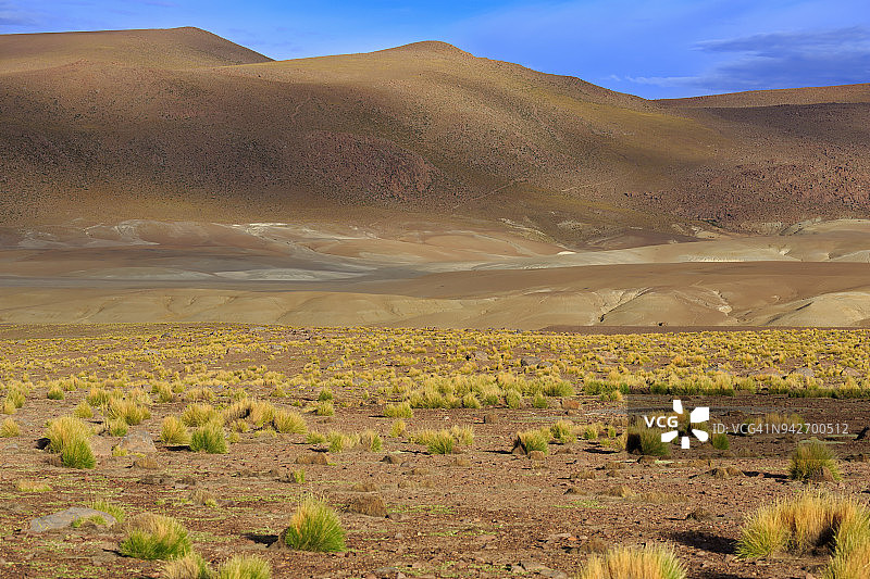 安第斯山脉山麓，阿塔卡马沙漠，智利图片素材