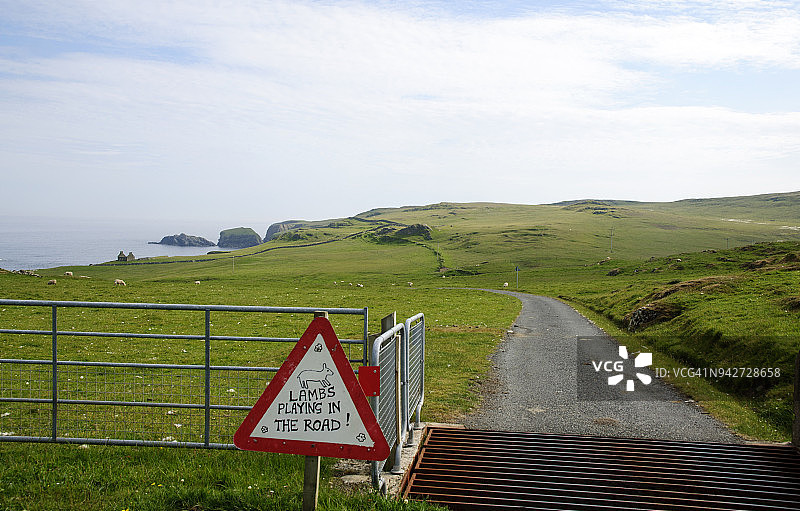 设德兰群岛北部费特拉岛Funzie Girt的羊羔过马路标志图片素材
