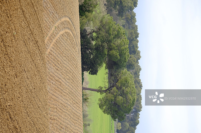 加泰罗尼亚乡村的农业用地图片素材