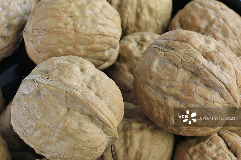 带壳英国核桃（Juglans regia）的完整画面图片素材