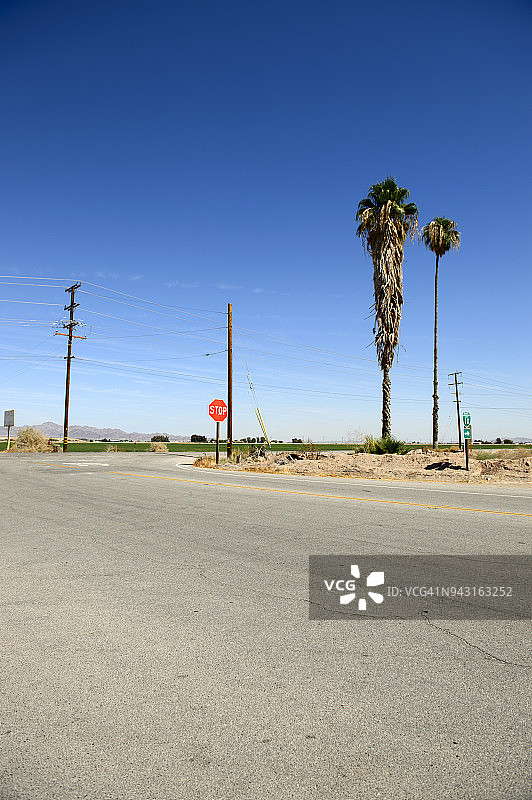 美国加利福尼亚州布莱斯市的停止标志和棕榈树图片素材