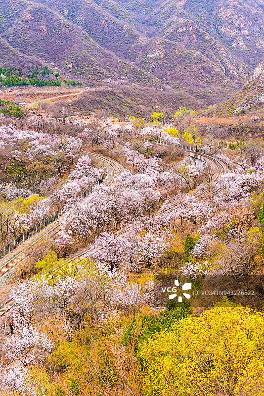 花丛与雪中的铁路图片素材
