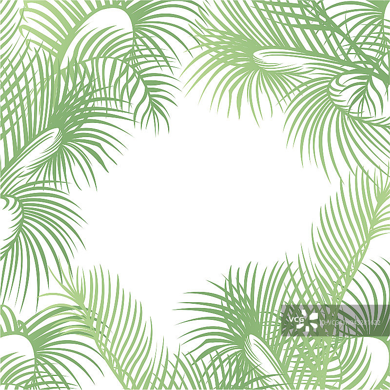带棕榈叶的热带设计模板或边框图片素材