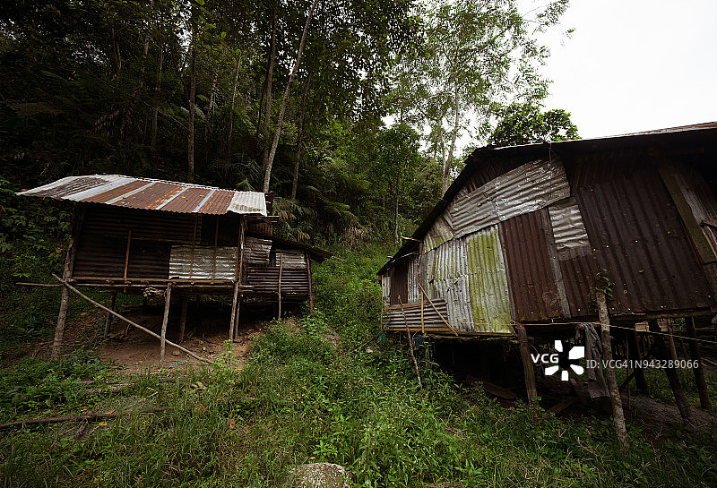 反映砂拉越森林中巴南部落的简朴小屋，通常由木材、藤条、树叶和竹子制成图片素材