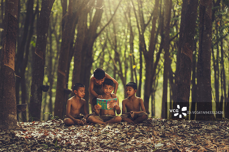 乡村儿童在森林里读书图片素材