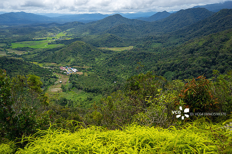 巴里奥是位于马来西亚砂拉越美里省克拉比特高地上的一个由13到16个村庄组成的社区图片素材