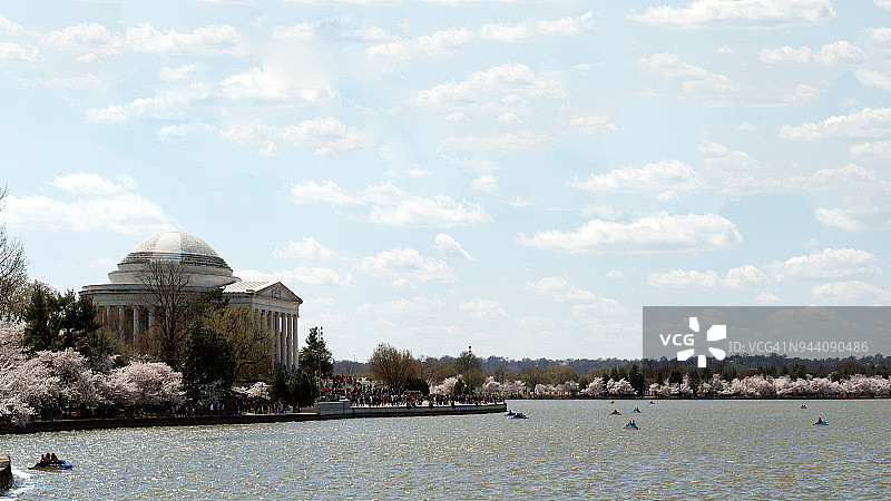 杰斐逊纪念堂和樱花图片素材