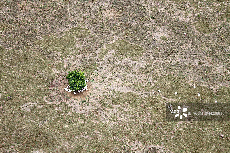 亚马逊地区森林砍伐区图片素材
