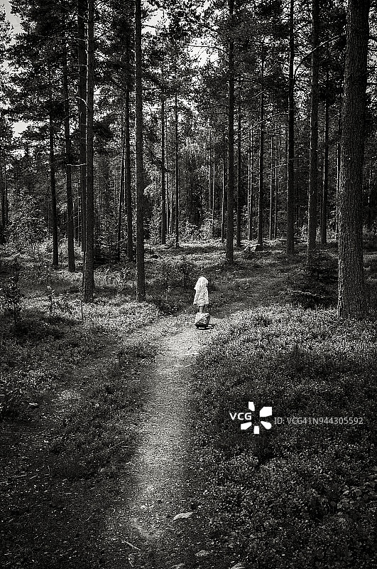 女孩在森林中行走图片素材