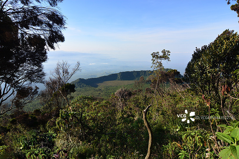 透过高山植被看维龙加山脉的火山地貌图片素材