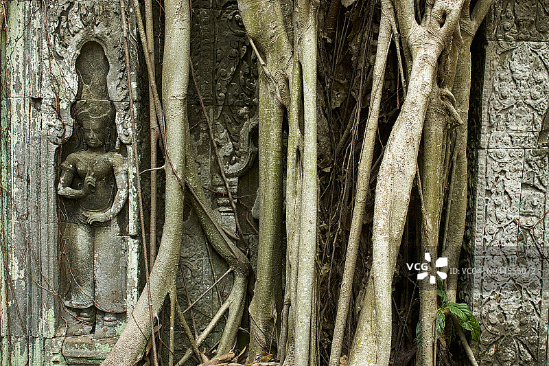吴哥塔布笼寺图片素材