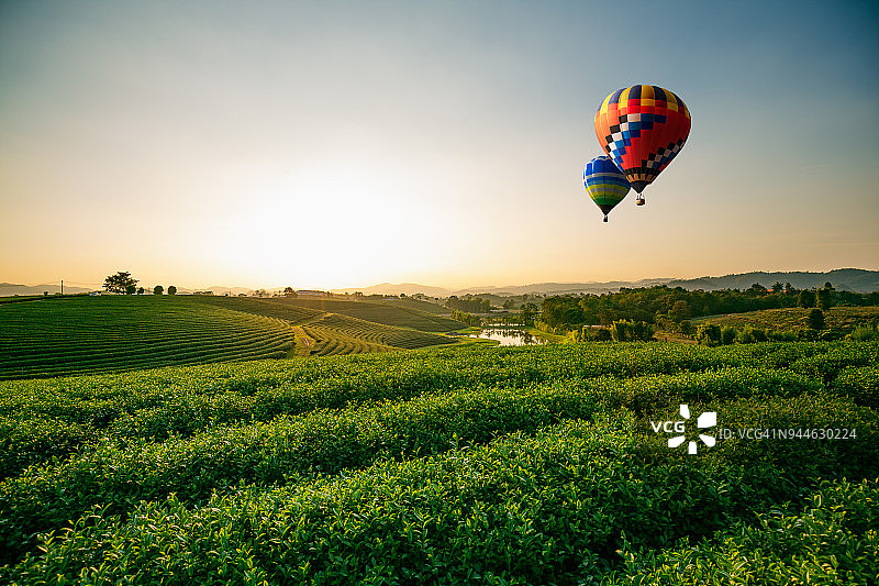 泰国清莱翠峰茶园日落时分的彩色热气球图片素材