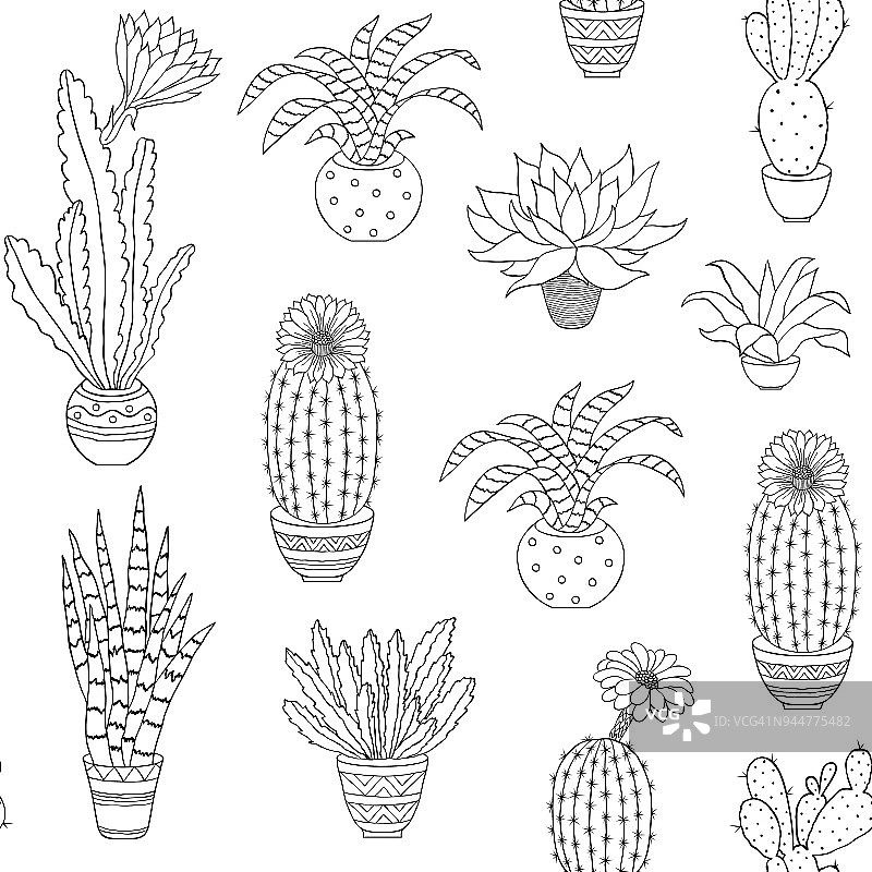 手绘室内植物图片素材