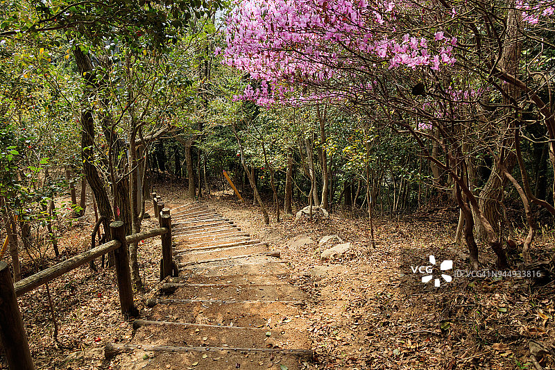 春天来了！图片素材