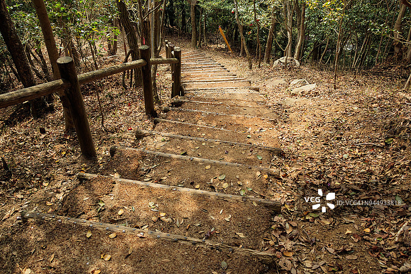 山间小径上的光影图片素材